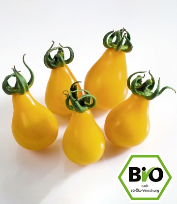 BIO-Cherrytomate 'Yellow Submarine'