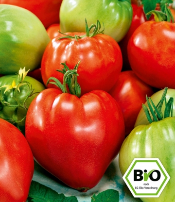 BIO-Ochsenherztomate 'Cauralina' F1