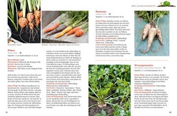 Gärtnern mit dem Hochbeet: So einfach geht's (GU Garten Extra) - 4