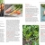 Gärtnern mit dem Hochbeet: So einfach geht's (GU Garten Extra) - 4