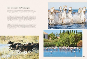Kochbuch Provence. 80 Sehnsuchtsrezepte aus dem Süden Frankreichs. Kulinarische Genüsse aus Südfrankreich: von der Cote d’azur, aus St.Tropez oder Cannes. - 7