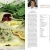 Pasta, ti amo!: 101 Rezepte, der besten Köche der Welt - 4
